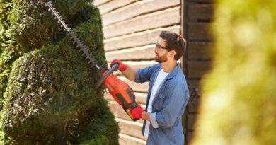 black and decker hækkeklipper