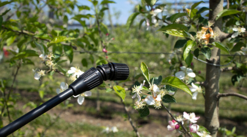 gardena havesprøjte