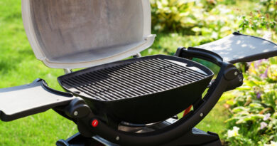 weber el grill