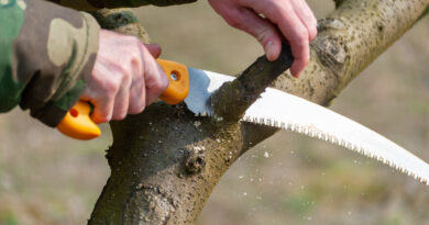 stihl grensav