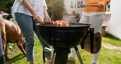 weber gas grill