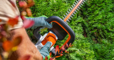 stihl hækkeklipper