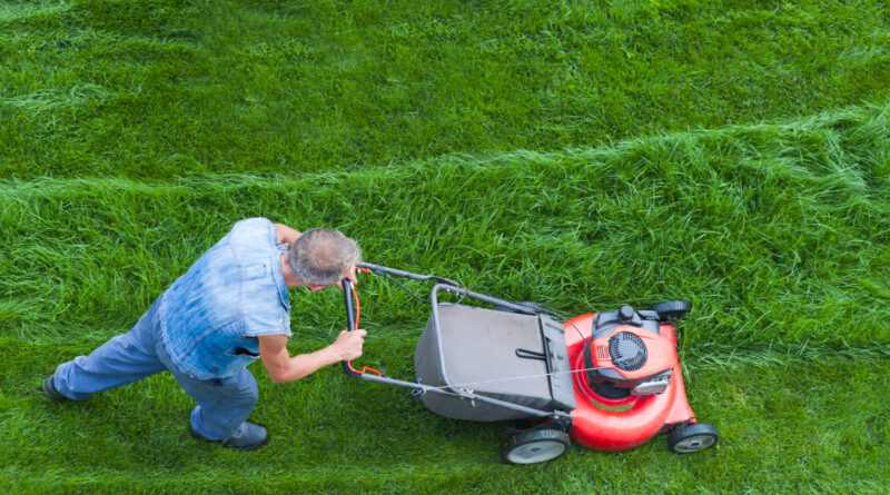 stihl plæneklipper