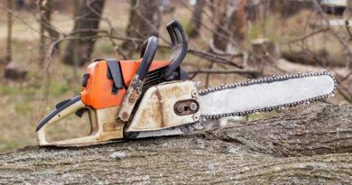 stihl motorsav