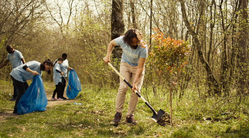 fiskars spade