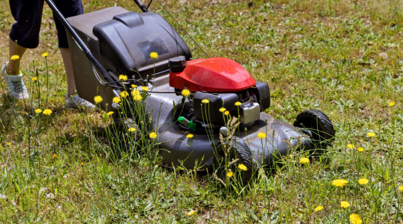 honda plæneklipper